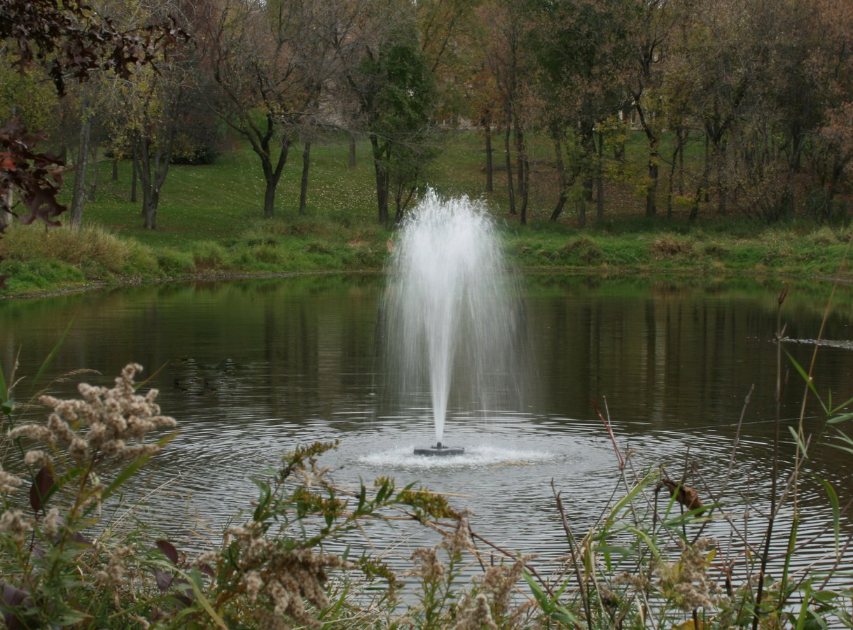 Fountain in pond surrounded by trees