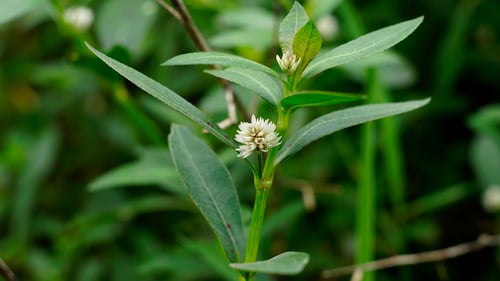 AdobeStock_589565284