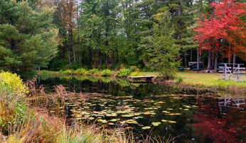 fall pond